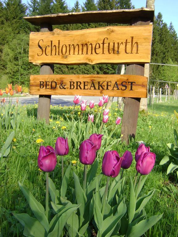 Bed & Breakfast Schlommefurth Bed and Breakfast St. Vith Esterno foto